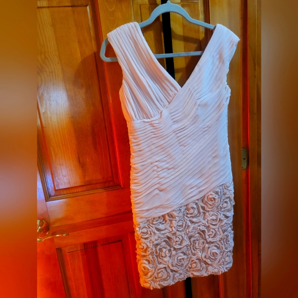 Light pink dress Size 4P